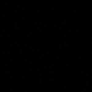 Meet your Posher, Riley